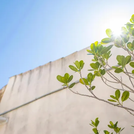 Σπίτι διακοπών Guillem Pollença