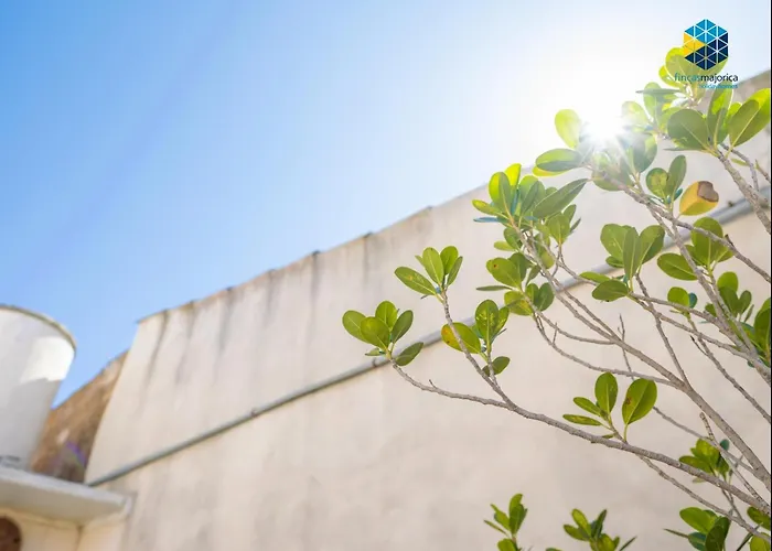 بيت للعطل Guillem بويينسا